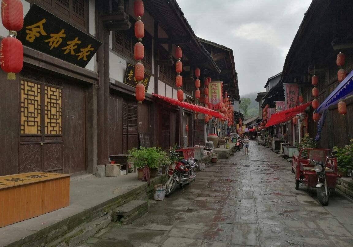 救援小棕兔